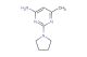 6-methyl-2-(pyrrolidin-1-yl)pyrimidin-4-amine