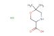 6,6-dimethylmorpholine-3-carboxylic acid hydrochloride