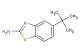 5-tert-butyl-1,3-benzothiazol-2-amine