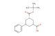 1-[(tert-butoxy)carbonyl]-5-phenylpiperidine-3-carboxylic acid