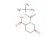 1-[(tert-butoxy)carbonyl]-5-oxopiperidine-2-carboxylic acid