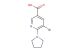 5-bromo-6-(pyrrolidin-1-yl)pyridine-3-carboxylic acid