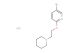 5-bromo-2-[2-(piperidin-1-yl)ethoxy]pyridine hydrochloride
