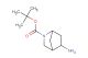tert-butyl 5-amino-2-azabicyclo[2.2.1]heptane-2-carboxylate