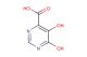 5,6-dihydroxypyrimidine-4-carboxylic acid
