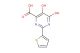 5,6-dihydroxy-2-(thiophen-2-yl)pyrimidine-4-carboxylic acid