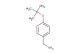 [4-(tert-butoxy)phenyl]methanamine