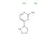 4-(pyrrolidin-2-yl)pyrimidin-2-amine dihydrochloride