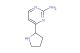4-(pyrrolidin-2-yl)pyrimidin-2-amine