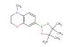 4-methyl-7-(4,4,5,5-tetramethyl-1,3,2-dioxaborolan-2-yl)-3,4-dihydro-2H-benzo[b][1,4]oxazine