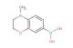 (4-methyl-3,4-dihydro-2H-1,4-benzoxazin-7-yl)boronic acid