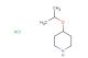 4-(propan-2-yloxy)piperidine hydrochloride