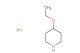 4-ethoxypiperidine hydrochloride