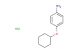 4-(cyclohexyloxy)aniline hydrochloride