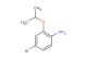 4-bromo-2-(propan-2-yloxy)aniline