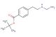 tert-butyl 4-(2-((aminomethyl)amino)ethyl)benzoate