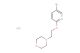 4-[2-(5-bromo-pyridin-2-yloxy)-ethyl]-morpholine hydrochloride