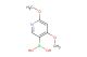 (4,6-dimethoxypyridin-3-yl)boronic acid