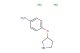 4-(pyrrolidin-3-yloxy)aniline dihydrochloride