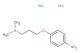 4-(3-dimethylamino-propoxy)-phenylamine dihydrochloride