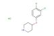 4-(3,4-dichlorophenoxy)piperidine hydrochloride