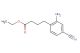 ethyl 4-(2-amino-4-cyanophenyl)butanoate