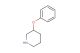 3-phenoxypiperidine