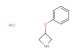 3-phenoxyazetidine hydrochloride