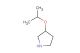 3-(propan-2-yloxy)pyrrolidine