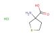 3-aminothiolane-3-carboxylic acid hydrochloride