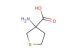 3-aminothiolane-3-carboxylic acid