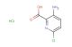 3-amino-6-chloropyridine-2-carboxylic acid hydrochloride