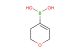 (3,6-dihydro-2H-pyran-4-yl)boronic acid