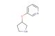 3-(pyrrolidin-3-yloxy)pyridine