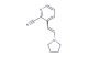 3-[2-(pyrrolidin-1-yl)ethenyl]pyridine-2-carbonitrile