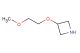 3-(2-methoxyethoxy)azetidine