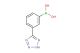 [3-(2H-1,2,3,4-tetrazol-5-yl)phenyl]boronic acid