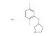 3-(2,5-difluorophenoxy)pyrrolidine hydrochloride