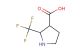 2-(trifluoromethyl)pyrrolidine-3-carboxylic acid