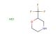 2-(trifluoromethyl)morpholine hydrochloride