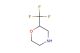 2-(trifluoromethyl)morpholine