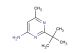 2-tert-butyl-6-methylpyrimidin-4-amine