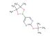 2-(tert-butoxy)-5-(4,4,5,5-tetramethyl-1,3,2-dioxaborolan-2-yl)pyrimidine