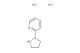 2-(pyrrolidin-2-yl)pyridine dihydrochloride