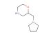 2-[(pyrrolidin-1-yl)methyl]morpholine