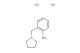 2-[(pyrrolidin-1-yl)methyl]aniline dihydrochloride