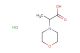2-(morpholin-4-yl)propanoic acid hydrochloride