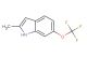 2-methyl-6-(trifluoromethoxy)-1H-indole