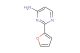 2-(furan-2-yl)pyrimidin-4-amine