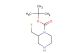 tert-butyl 2-(fluoromethyl)piperazine-1-carboxylate